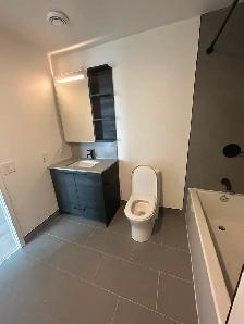 Modern 1 Bedroom Available | $2435   1 Month Free | The Beaches - Photo 8