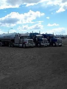 Hiring Super Bee Drivers - Photo 6