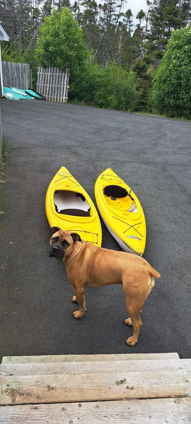 Potomac kayaks for sale