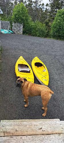 Potomac kayaks for sale