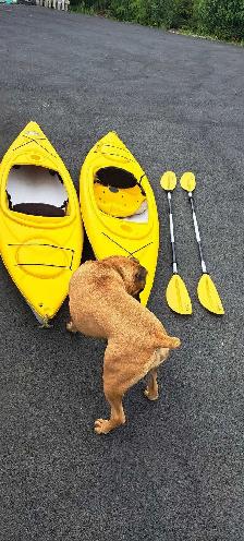 Potomac kayaks for sale - Photo 2