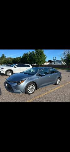 2020 Toyota Corolla Plus