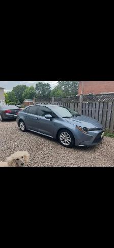 2020 Toyota Corolla Plus - Photo 2