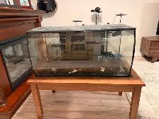 32.5 Fluval Flex