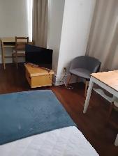 Large furnished room downtown available July 1 - female only - Photo 3