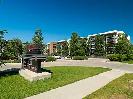 Top-Floor 1 Bedroom Apartment in Beautiful Linden Woods