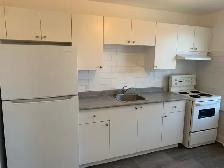 1 Bedroom Apartment from $1550 in Vanier area