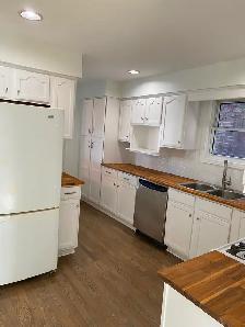 3 1 bedroom for rent. Walkerville area. - Photo 5