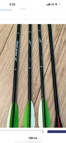 Bear Archery Crusader Youth bow package - Photo 6
