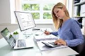 Accounting and Payroll Administrator Program