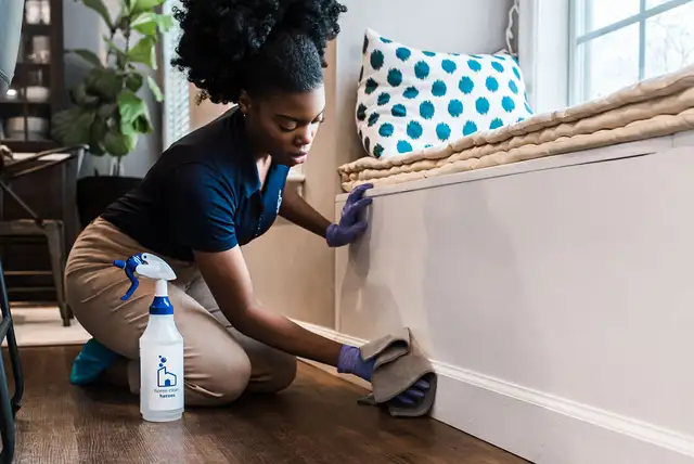 PROFESSIONAL  HOUSE CLEANING SERVICES – GTA