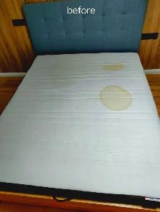 ​Professional Carpet, Upholstery & Mattress Cleaning - Photo 6