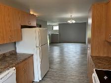 Spacious 4-bedroom Townhouse for Rent in Steinbach - Photo 4