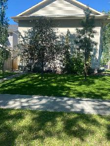 Triplex for sale by Owner - Photo 4