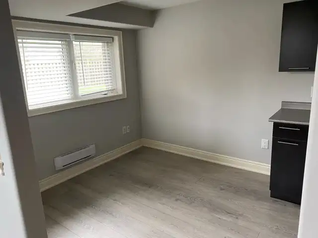 NEWLY RENOVATED, OPEN CONCEPT, BACHELOR BASEMENT APARTMENT