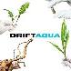 NANO FISH GALORE at Source Aquatics - Photo 2