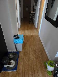Magnifique 5 1/2 a louer Sorel Tracy droit petits animaux - Photo 2