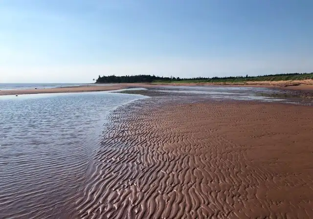 Amazing Waterfront Property For Sale- 80 Acres- 1 Mile of Beach