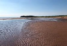 Amazing Waterfront Property For Sale- 80 Acres- 1 Mile of Beach