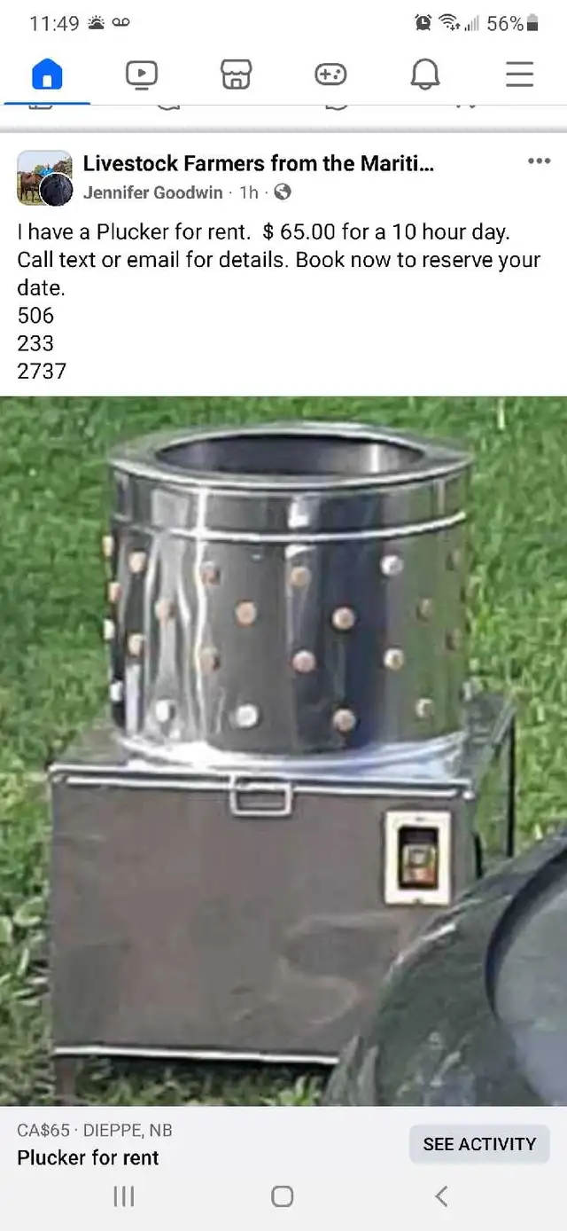 chicken plucker for rent