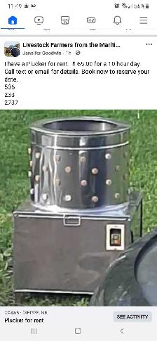 chicken plucker for rent