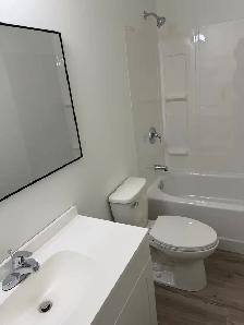 New large cheap 3 bedroom 3 bath =$1950.  2 bedroom 2 bath $1425 - Photo 5