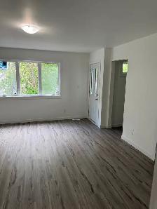 New large cheap 3 bedroom 3 bath =$1950.  2 bedroom 2 bath $1425 - Photo 10
