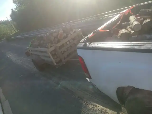 Firewood