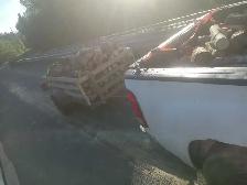 Firewood