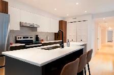 Renovated 2BR / 2BA Apartment in Plateau – Fully Furnished - Photo 11