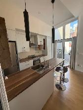 Très beau grand studio moderne, St-Sauveur, Électro inclus