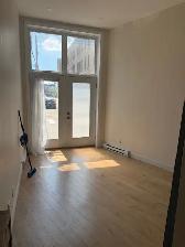 Très beau grand studio moderne, St-Sauveur, Électro inclus - Photo 3