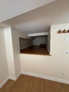 Très beau grand studio moderne, St-Sauveur, Électro inclus - Photo 12