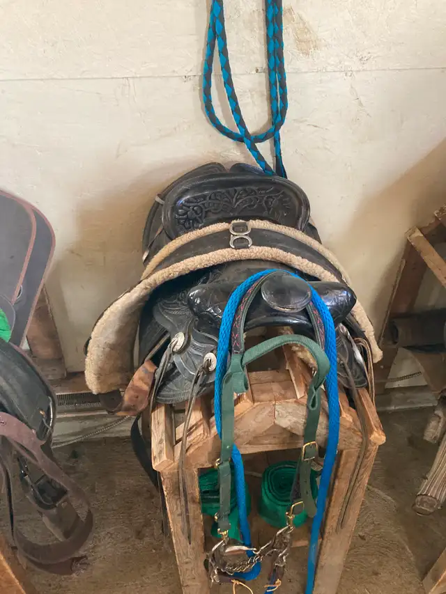 Selle western à vendre