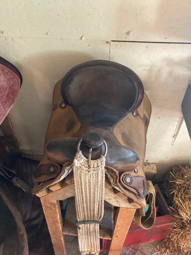 Selle western