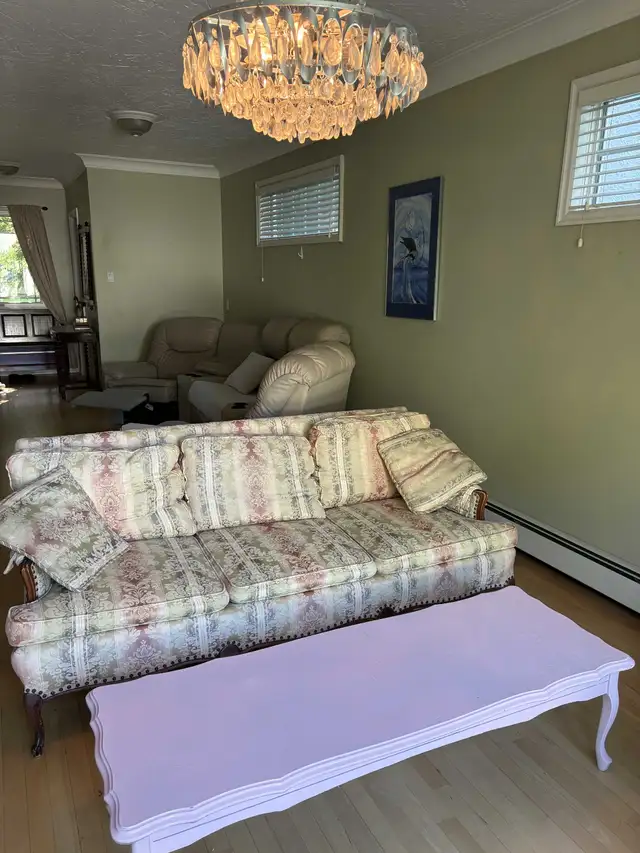Pink Coffee Table – $50