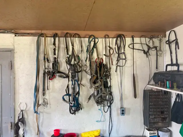 Différents accessoires équestres à vendre