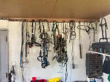 Différents accessoires équestres à vendre