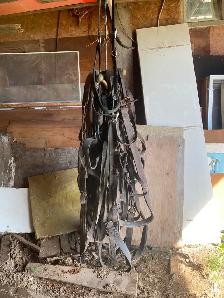 Lot d'accessoires pour chevaux à vendre - Photo 2