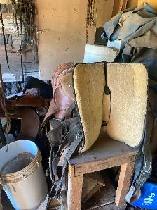 Lot d'accessoires pour chevaux à vendre - Photo 4