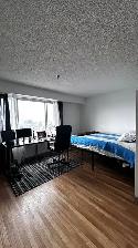 Cède  Bail / Beau View $1290 (month) (1 aout) - Photo 2