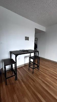 Cède  Bail / Beau View $1290 (month) (1 aout) - Photo 3