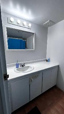 Cède  Bail / Beau View $1290 (month) (1 aout) - Photo 6