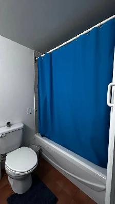 Cède  Bail / Beau View $1290 (month) (1 aout) - Photo 7