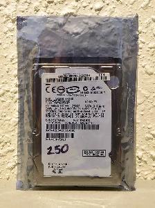 250GB 2.5-inch SATA Laptop Hard Drive (works great / formatted)