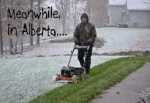 Looking immediately for a landscaping job.  In NW