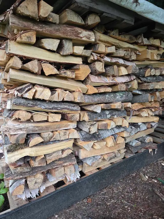 bois camping,feu de camp,foyer extérieur