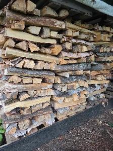 bois camping,feu de camp,foyer extérieur