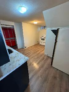 1 Bedroom Basement Apartment, Etobicoke $1300 - Photo 10