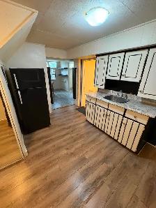 1 Bedroom Basement Apartment, Etobicoke $1300 - Photo 13